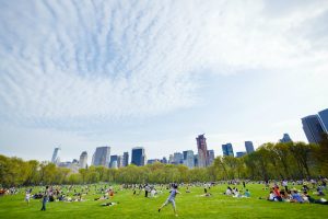 nueva york, new york, central park