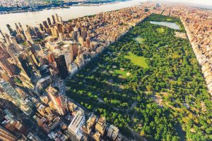 new york, nueva york, central park