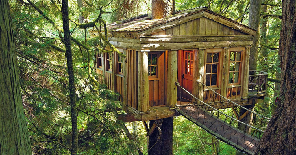 glamping, casa arbol. ecoturismo. turismo naturaleza
