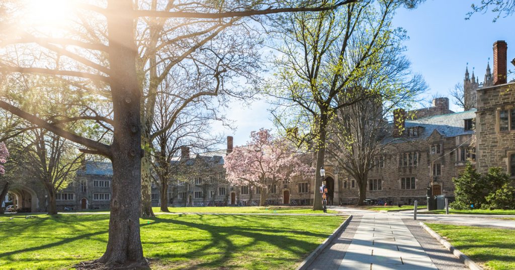 pricenton university