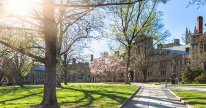 pricenton university