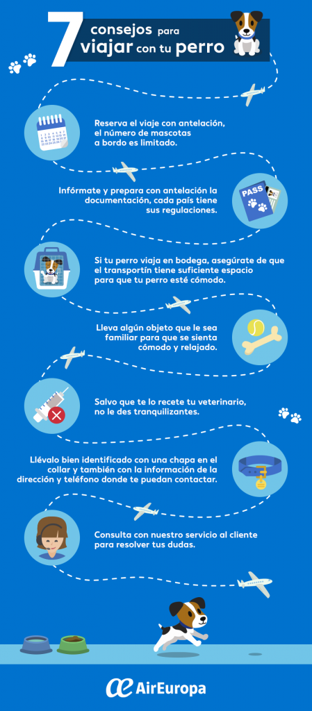 viajar con mascotas, viajar con perros, viajar con animales