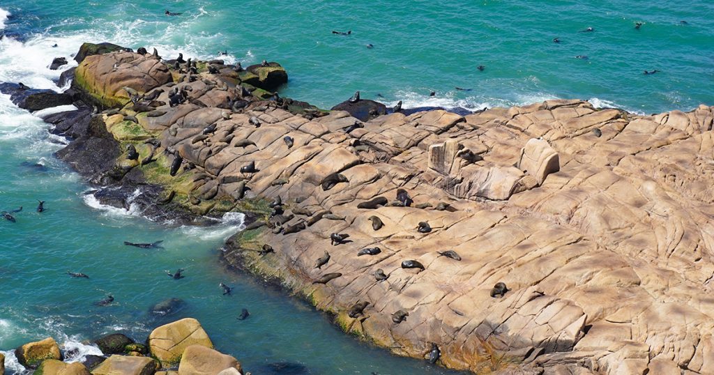 cabo polonio, punta del diablo, uruguay, verano en uruguay, montevideo, air europa