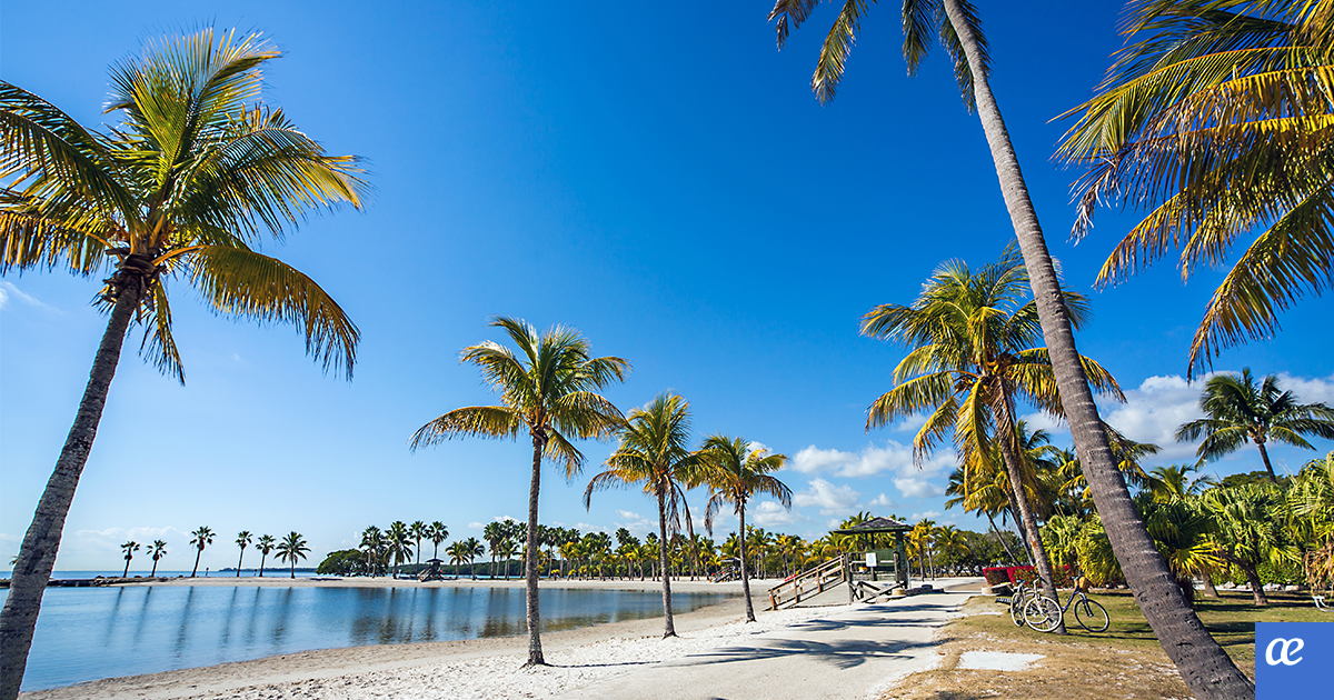 8 Cosas que hacer si viajas a Miami con niños