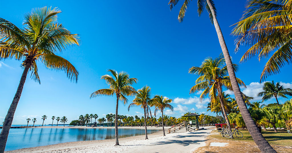 playa, Miami, niños 
