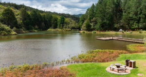 parque arvi medellin, colombia, destinos air euriopa