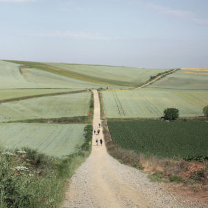 AirEuropa_CaminodeSantiago, rutas en bicicleta por España