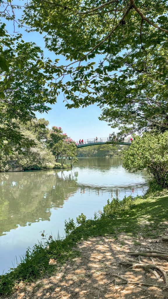 Parque de Ibirapuera