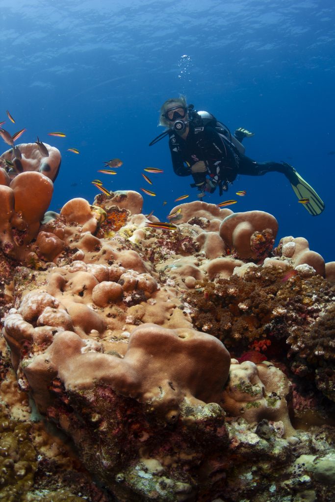 Fondo marino Coiba blog Panamá septiembre 2022