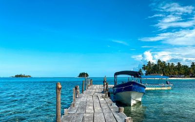 Experimenta la vida marina de Panamá