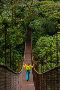 Viajar a la ruta del café en Panamá