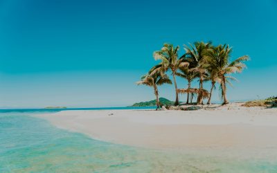 Cayos Cochinos, las islas que harán de ti un gran superviviente