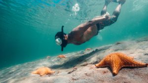Snorkel en Playa Estrella